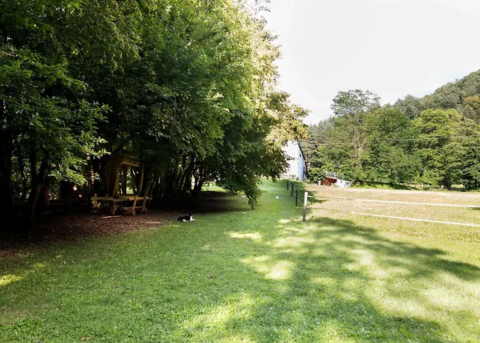 Bivanje na kmetiji Farm Volk Suhorje